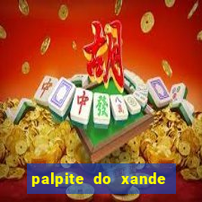 palpite do xande de hoje