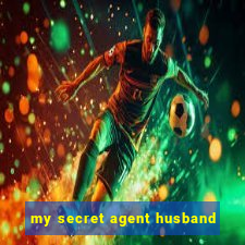 my secret agent husband