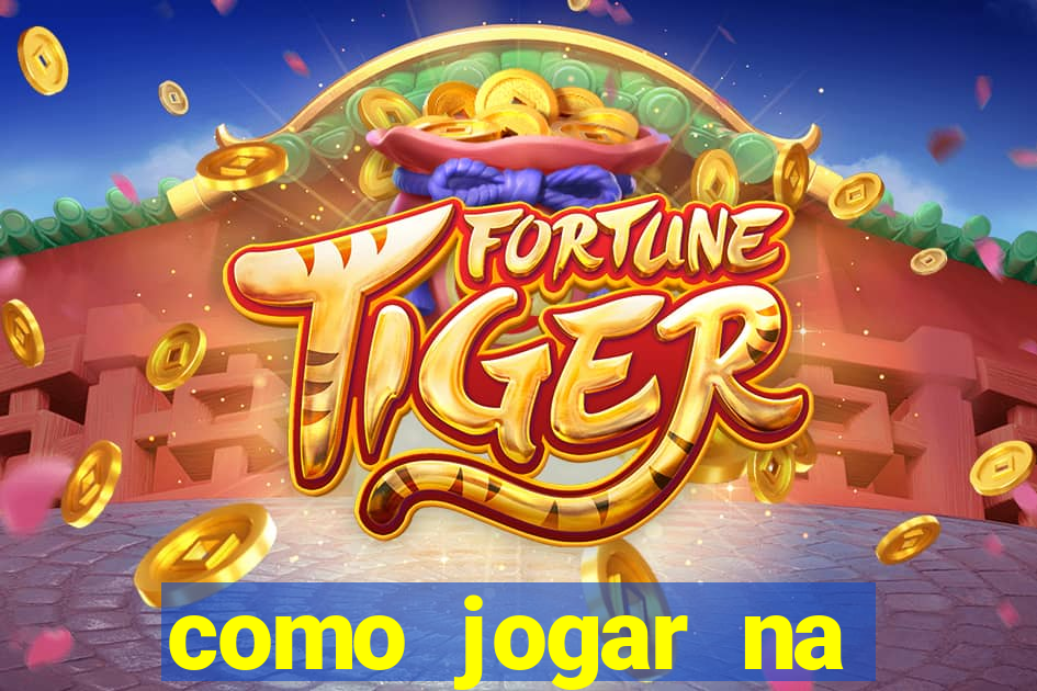 como jogar na seninha online