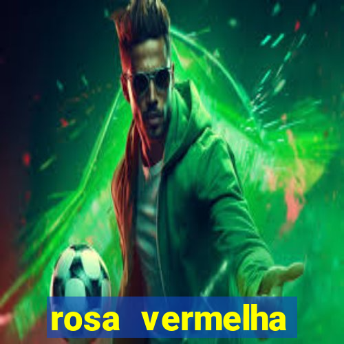 rosa vermelha (letra e cifra)