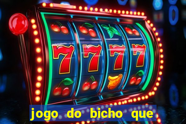 jogo do bicho que paga no pix