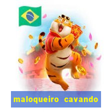 maloqueiro cavando sua cova portal do zacarias