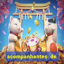 acompanhantes de paulo afonso