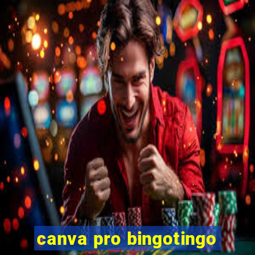 canva pro bingotingo