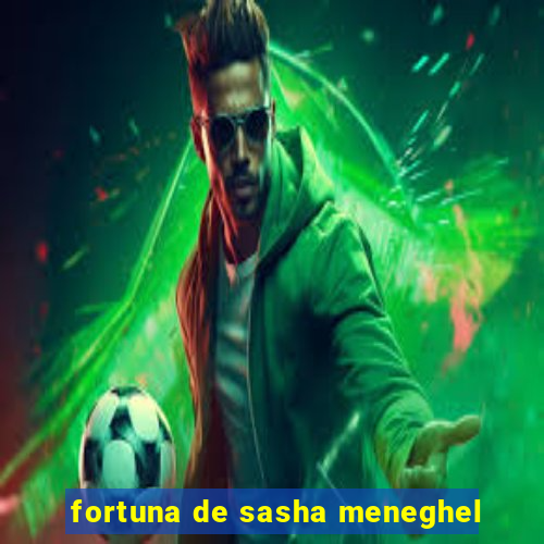 fortuna de sasha meneghel