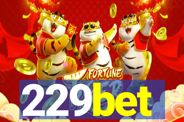 229bet