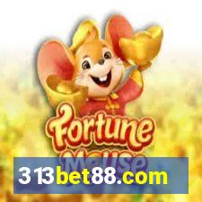 313bet88.com