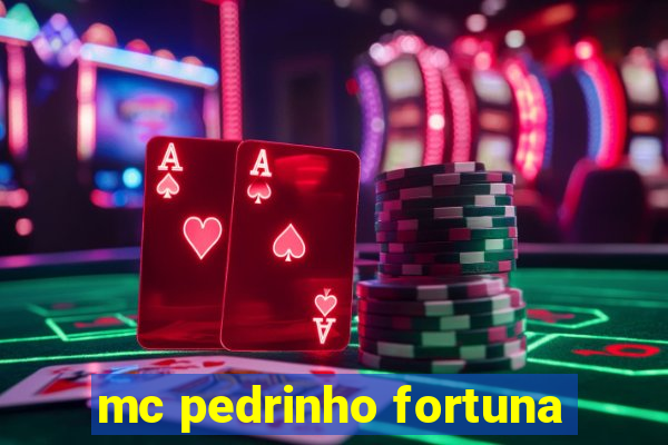 mc pedrinho fortuna