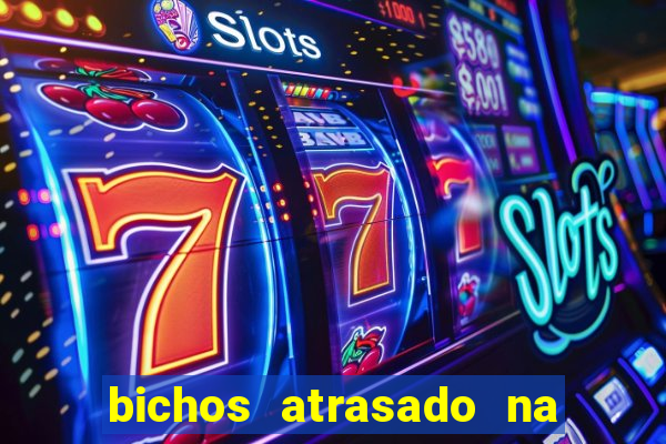 bichos atrasado na loteria dos sonhos