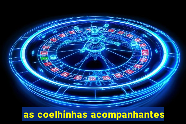 as coelhinhas acompanhantes