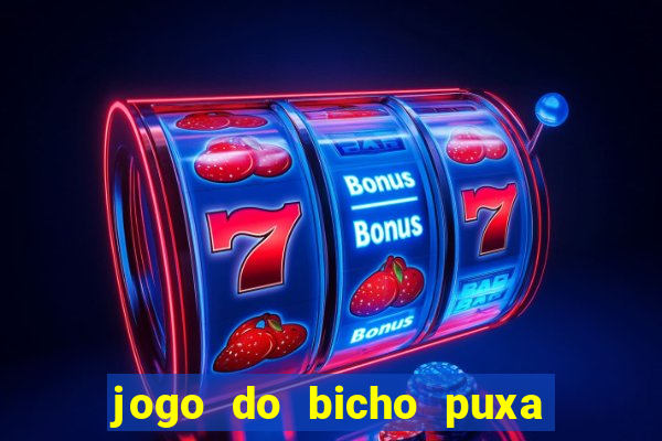 jogo do bicho puxa de dona maria