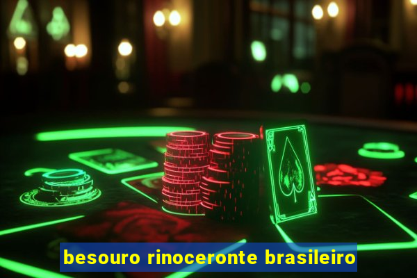 besouro rinoceronte brasileiro