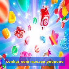 sonhar com macaco pequeno